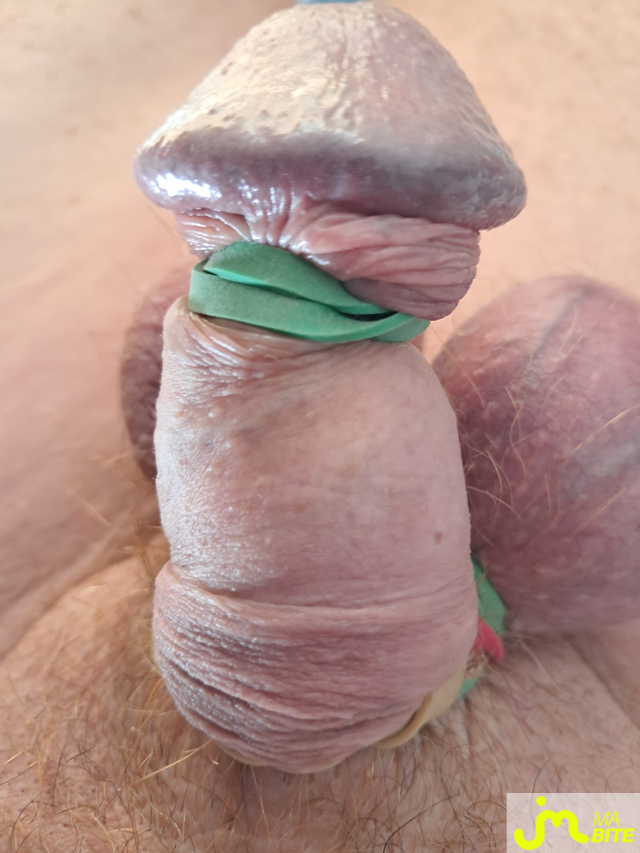 bites de GayPierre