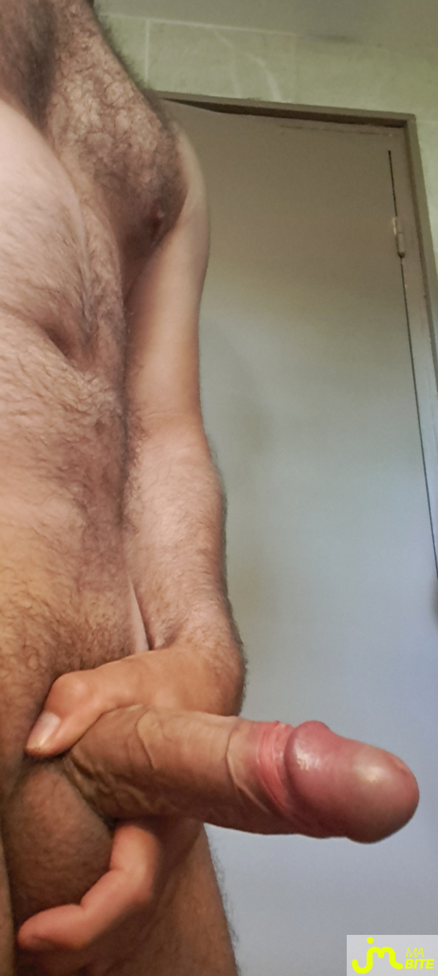 bites de Lexis46