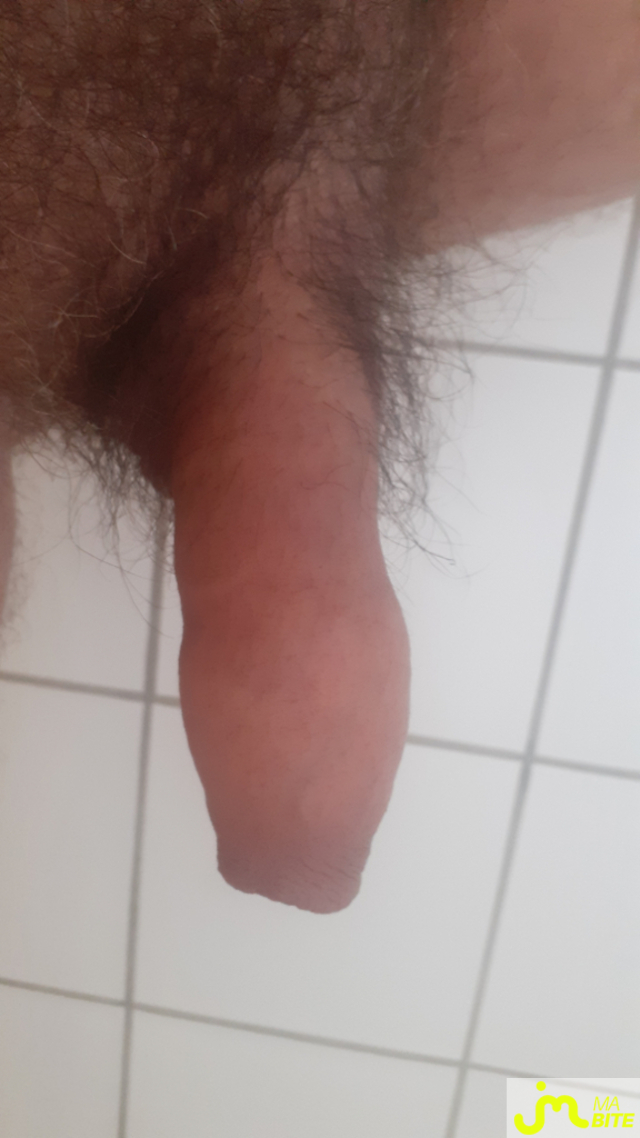 bites de Anneaux 27