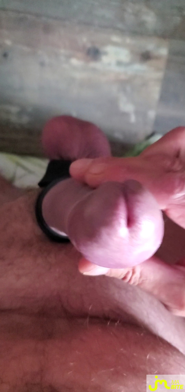 bites de Queute19