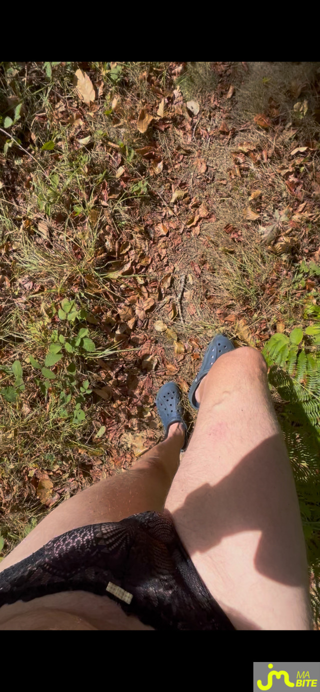 bites de mimibreton