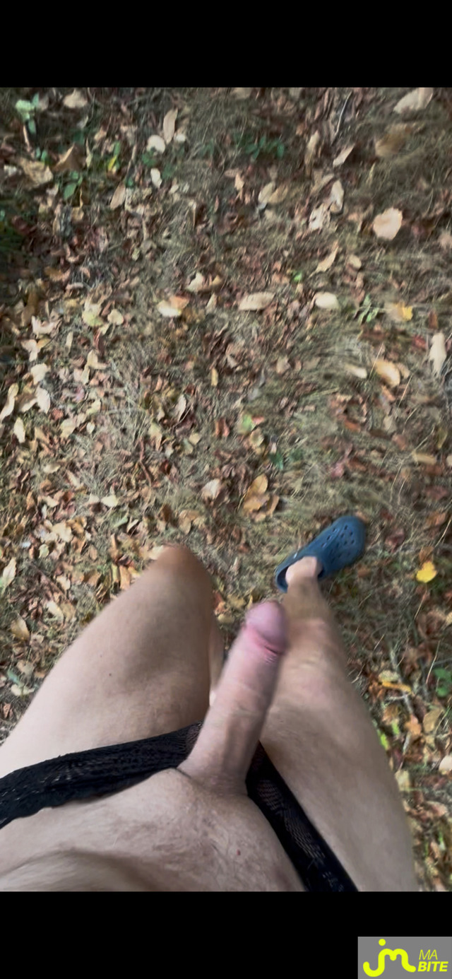 bites de mimibreton