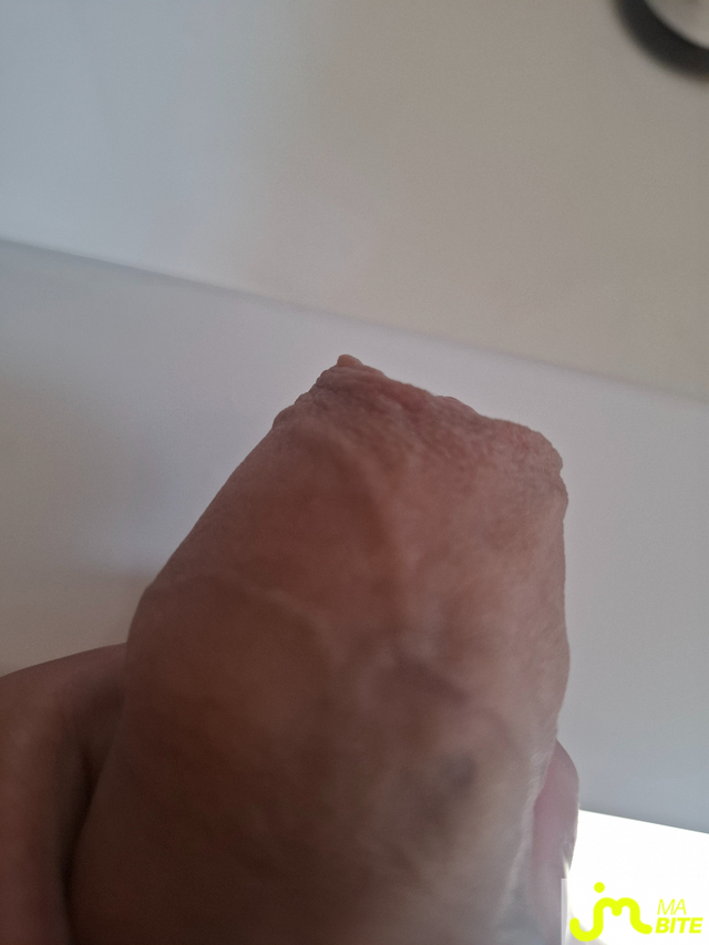 Photos de bites : Gland et Pr&eacute;puce