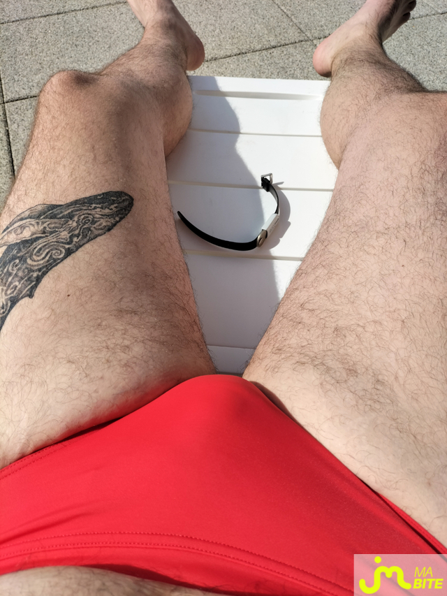 bites de Microsph