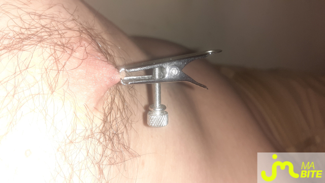 bites de Anneaux 27