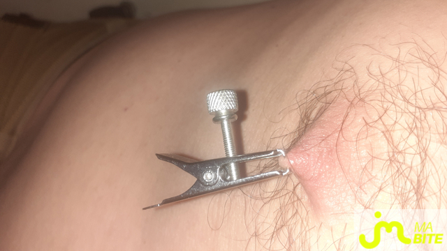 bites de Anneaux 27