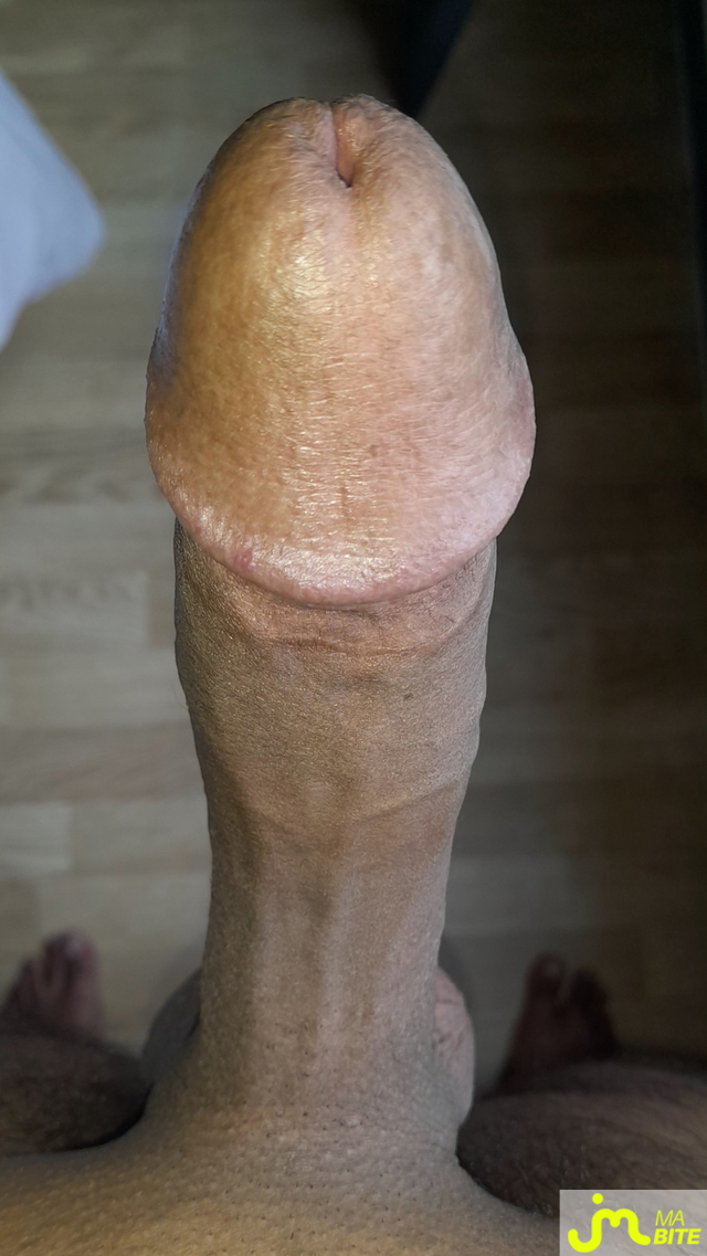 bites de &Eacute;rictismey