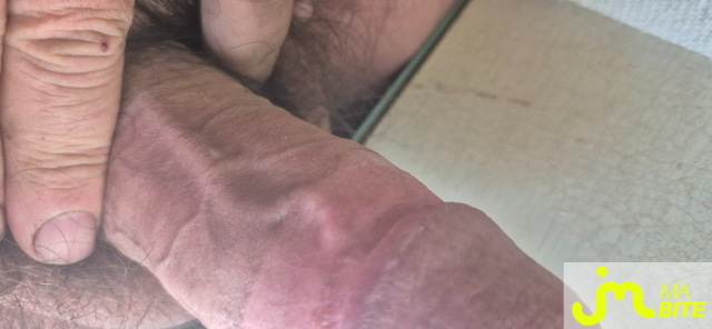 bites de  Bitboy
