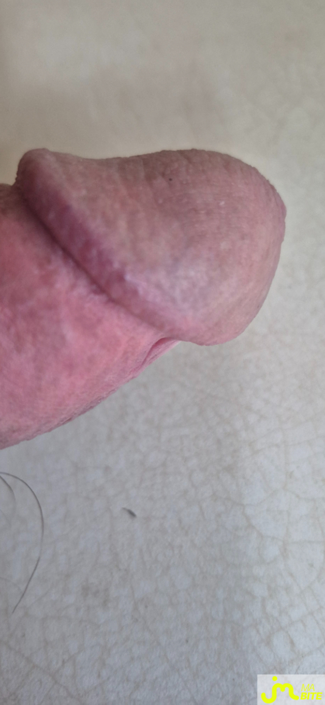 bites de  Bitboy