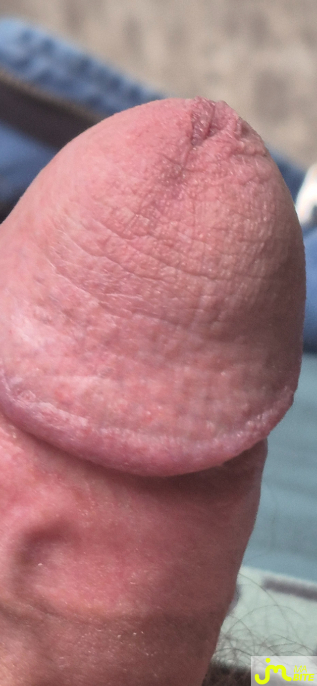 bites de  Bitboy
