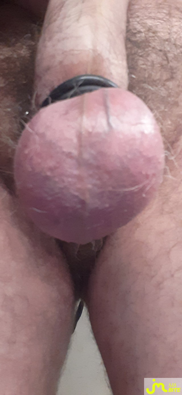 bites de Anneaux 27