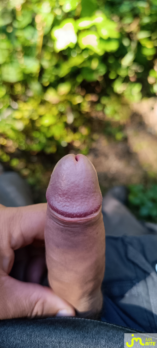 bites de Jim73