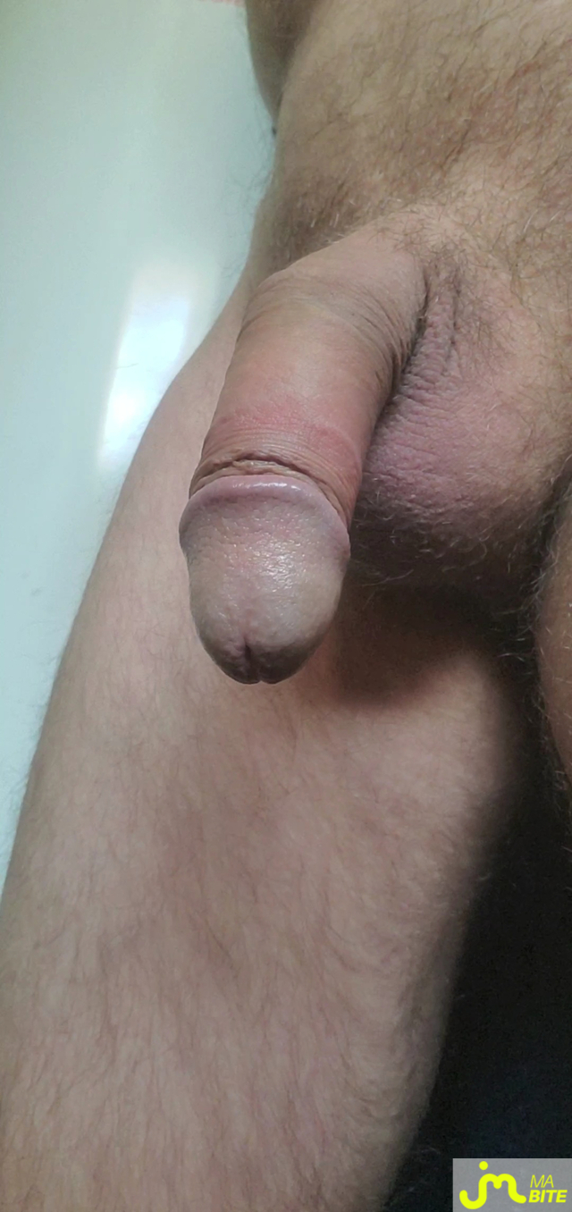 bites de Queute19