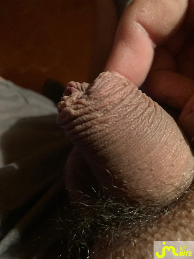 bites de Sylvainzzi 