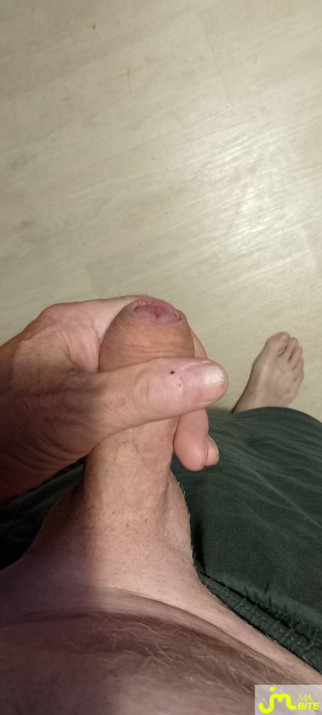 bites de Veys 59