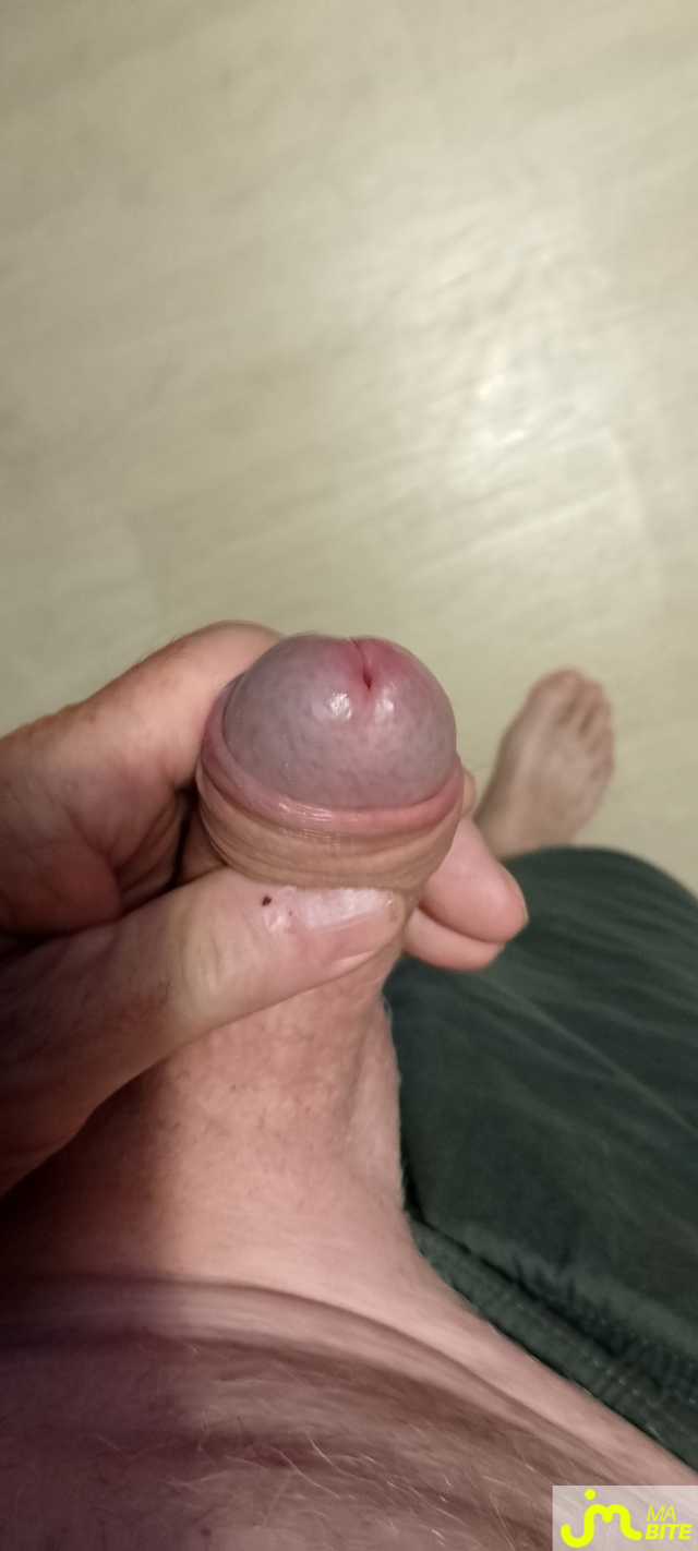 bites de Veys 59