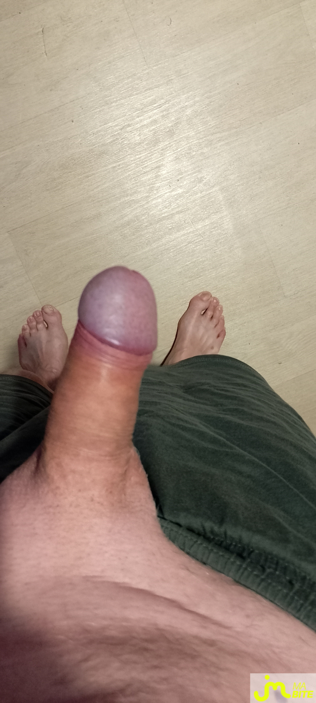 bites de Veys 59