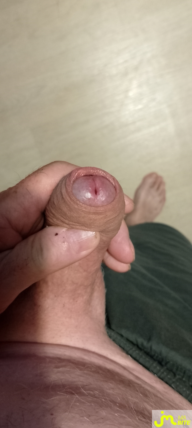 bites de Veys 59