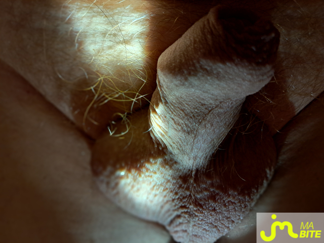 Photos de bites : Jeu de lumi&egrave;re 