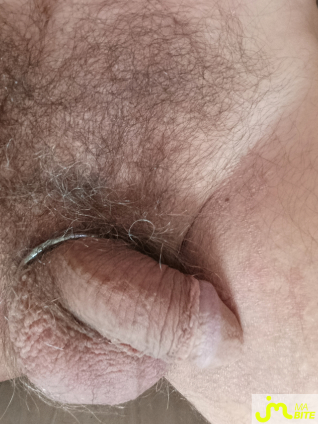 bites de Jfp75