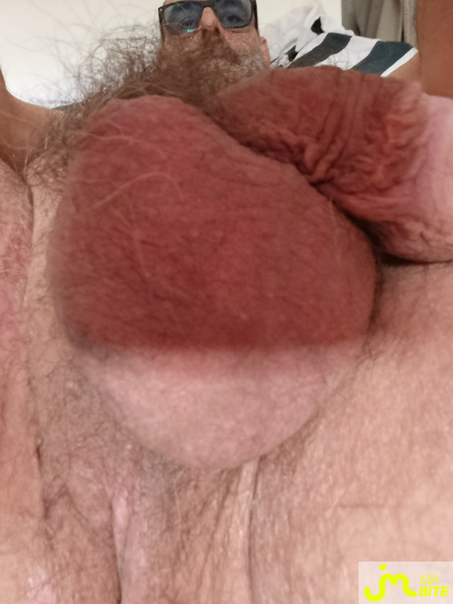 bites de Jfp75