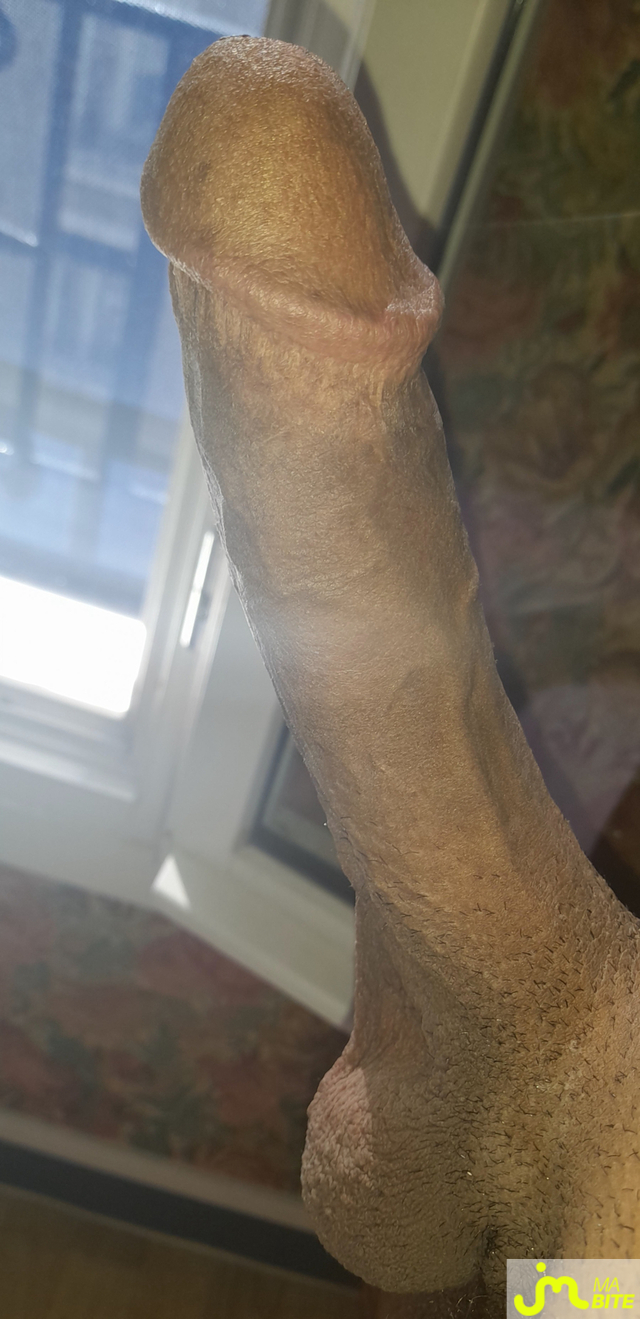 bites de &Eacute;rictismey