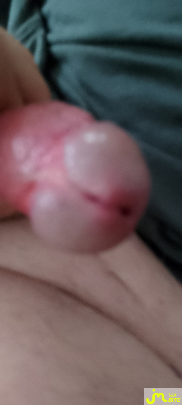bites de Veys 59