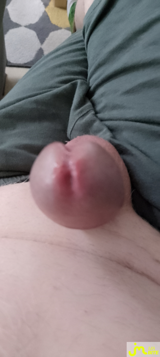 bites de Veys 59