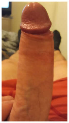 Photos de bites : 20cm et 6 de larges 