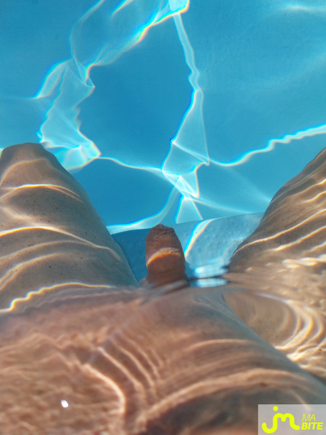 Photos de bites : Dans l'eau 