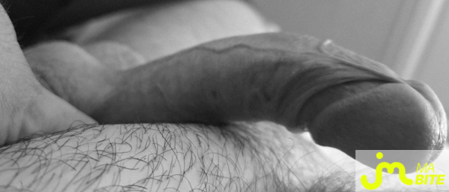 bites de bite_&ocirc;_veines