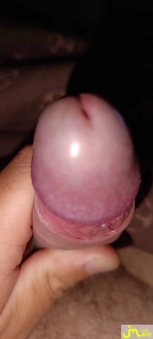 bites de Jim73