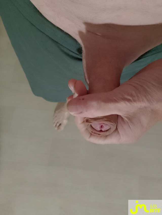 bites de Veys 59