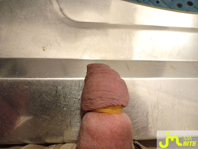 Photos de bites : Gland &agrave; couper.
