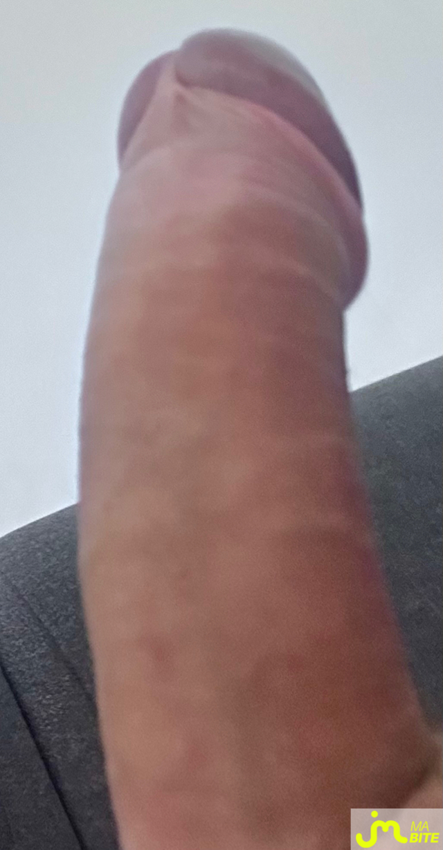 Photos de bites : Oups 
