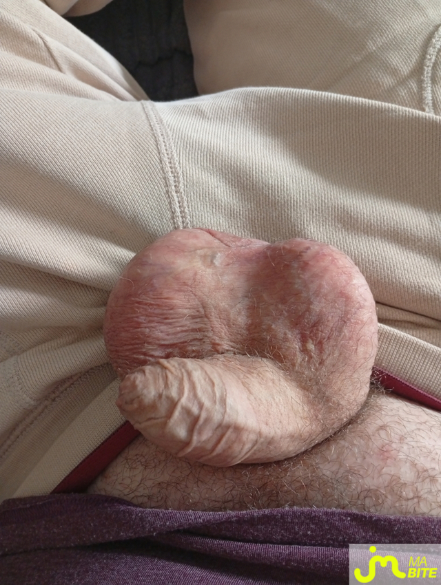Photos de bites : Avant castration 