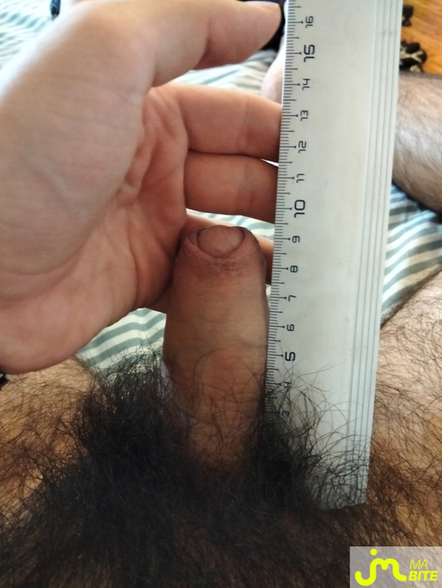 bites de Penis z