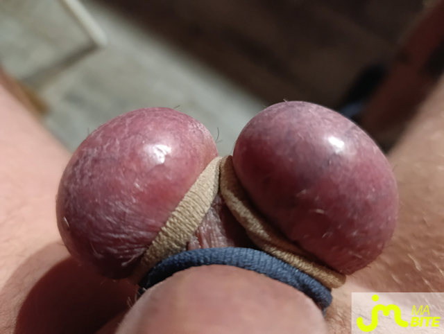 bites de Cycliste18cm