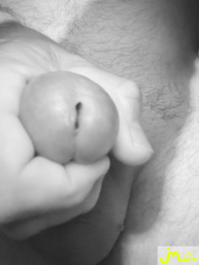 bites de Mau6950