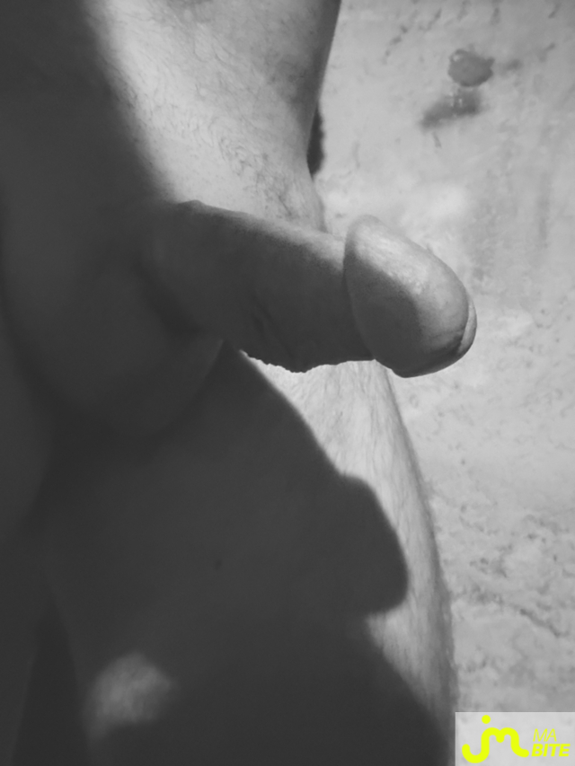 bites de Mau6950