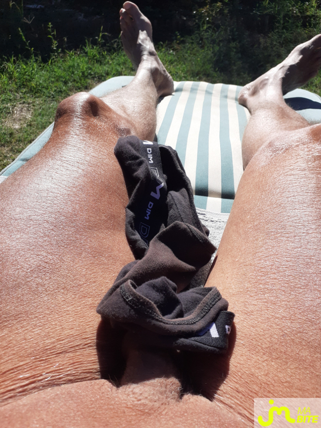 bites de Minib