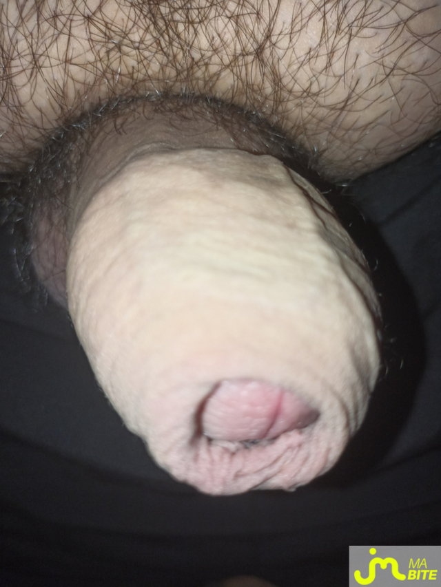 bites de bibi66