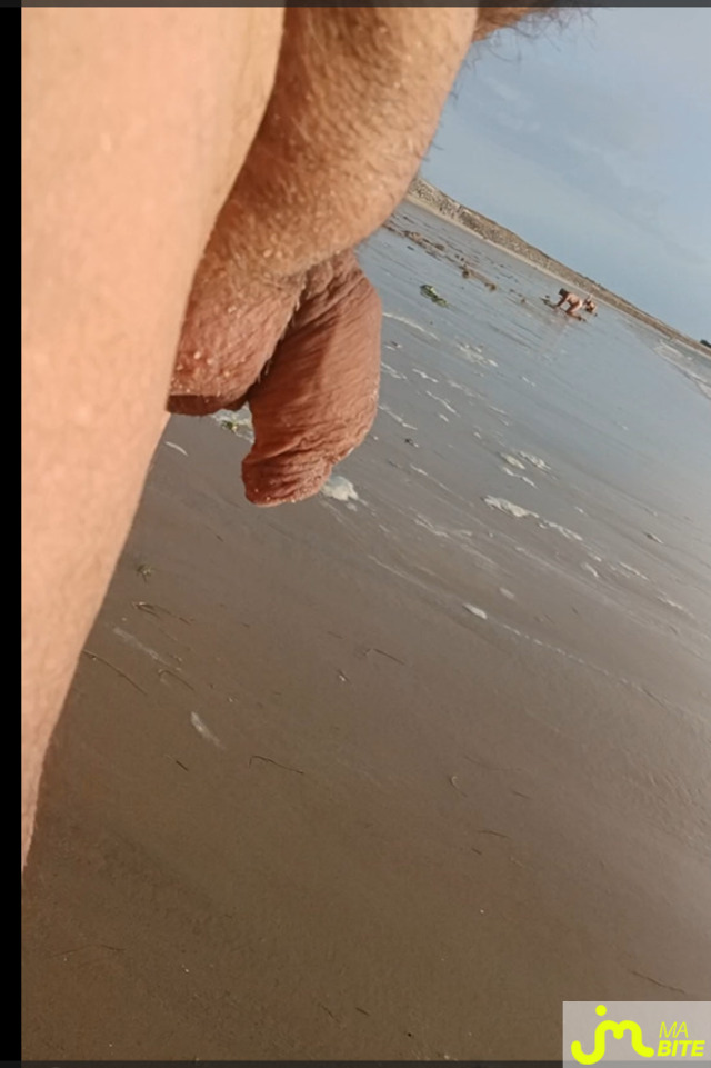 bites de Vieuxm&acirc;lebi