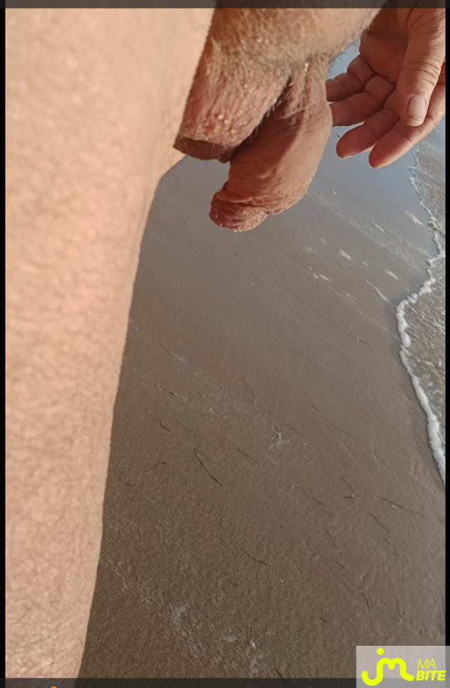 bites de Vieuxm&acirc;lebi