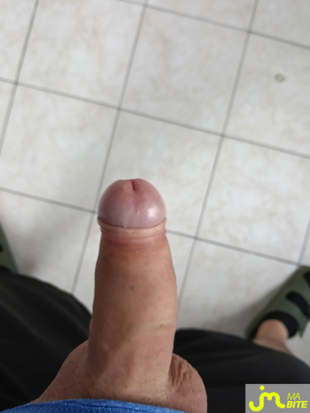 bites de rod2462