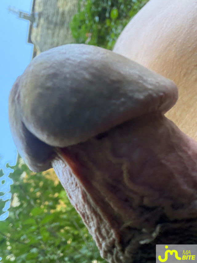 bites de Mau6950