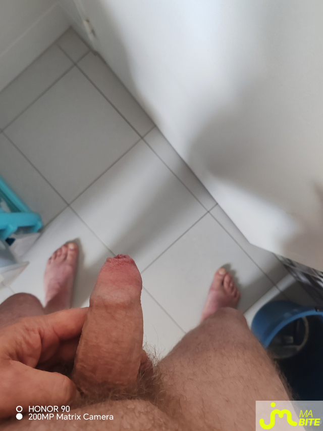 bites de L'hazebrouckois