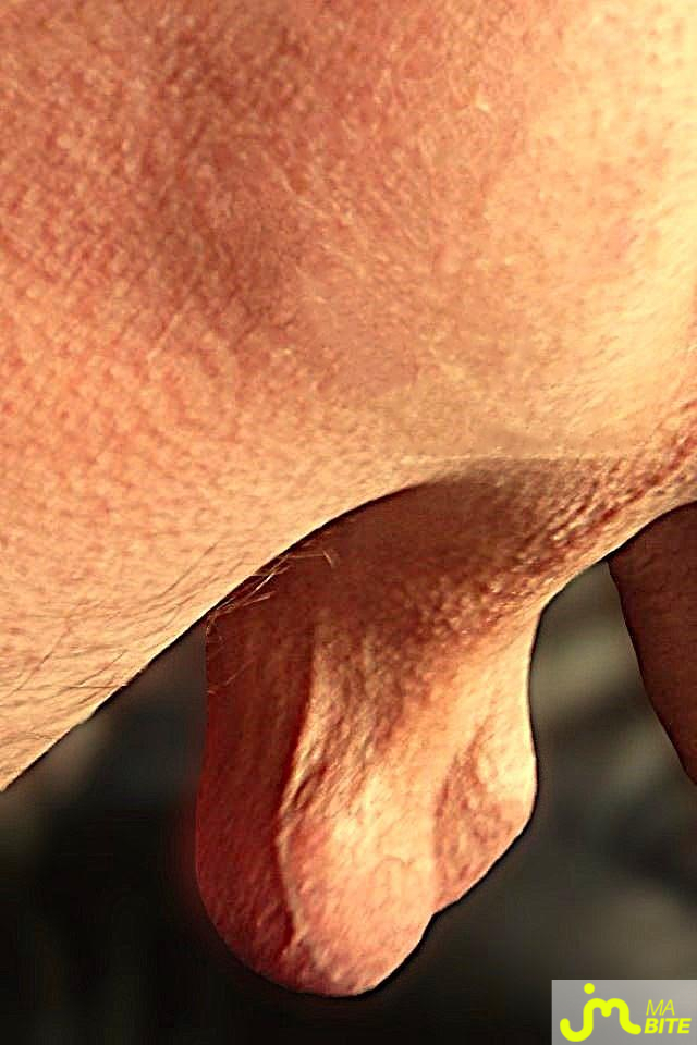 bites de Bel Ami 58