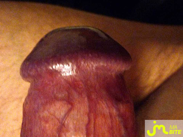 bites de Bel Ami 58