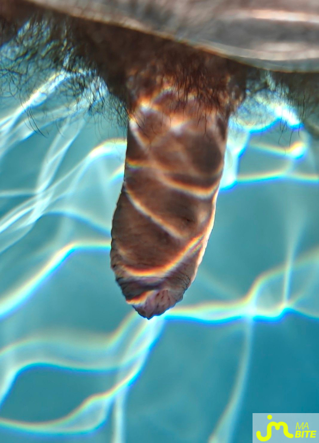 Photos de bites : M&eacute;andres solaires &agrave; travers l'eau 